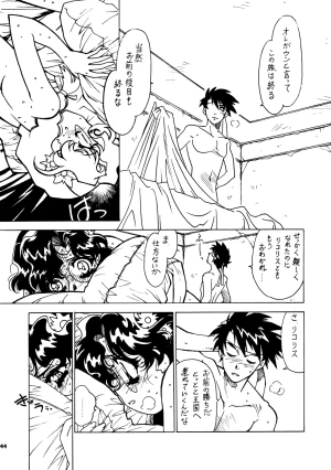 Page 43