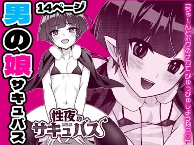 Seiya no Succubus