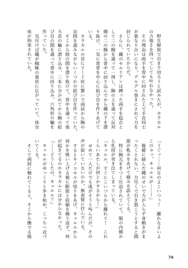 Page 74