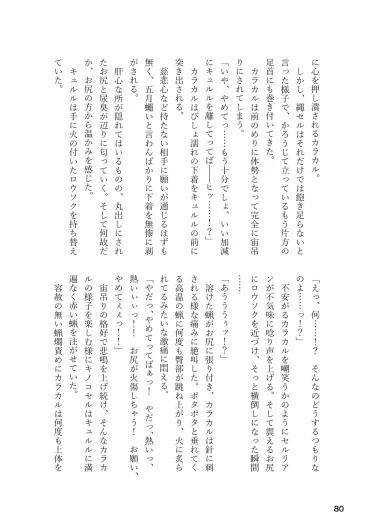 Page 80