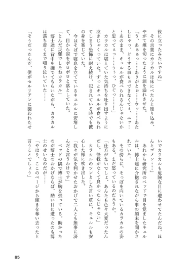 Page 85