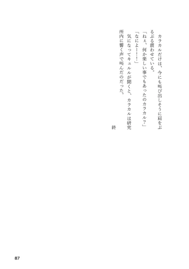 Page 87