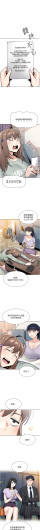 Page 529