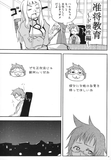 Page 27