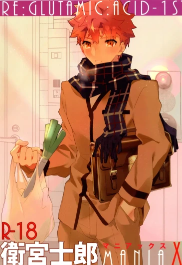 Emiya Shirou MANIAX-1ST