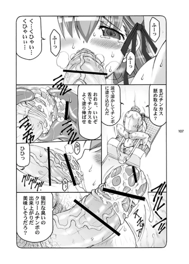 Page 107