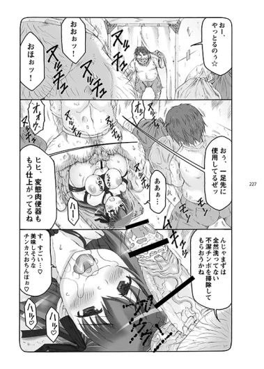 Page 227