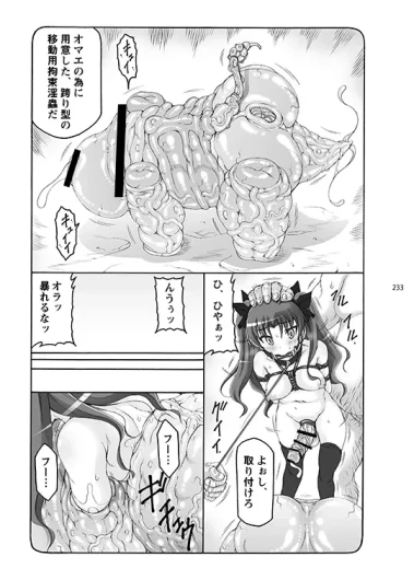 Page 233