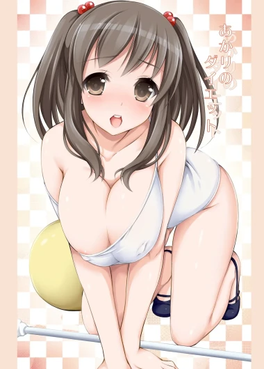 Akari no Diet