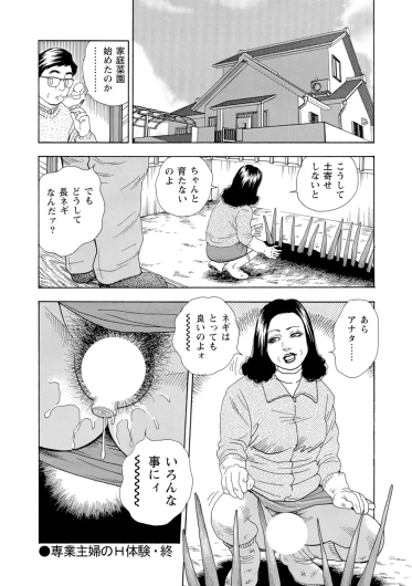 Page 263