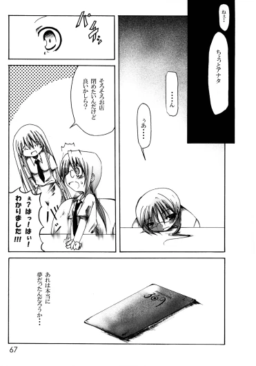 Page 67