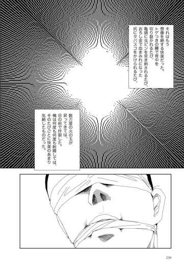 Page 232