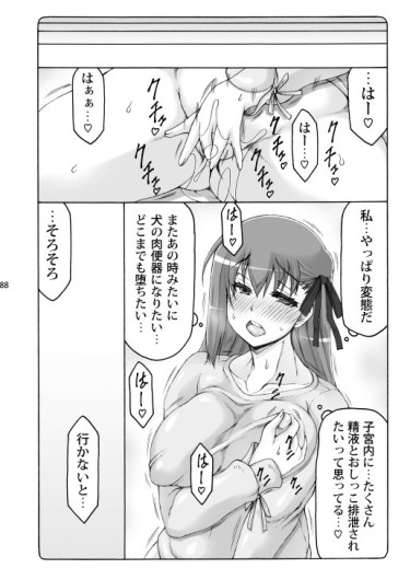 Page 87