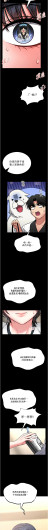 Page 243