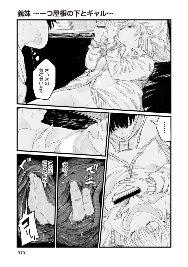 Page 371