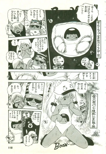 Page 113