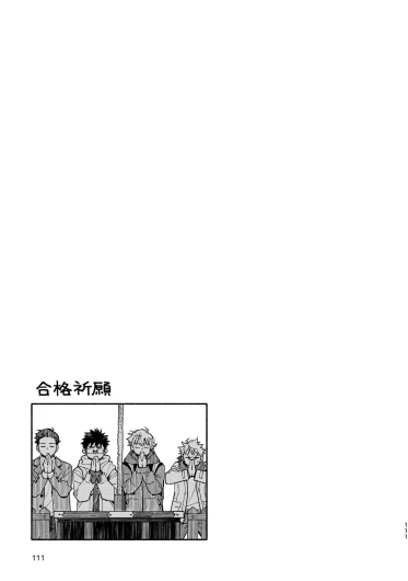 Page 111