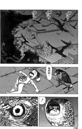 Page 117