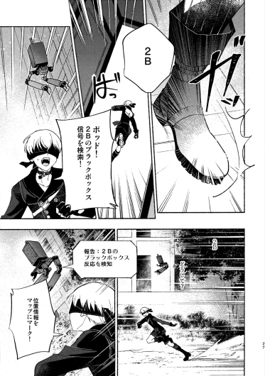 Page 27