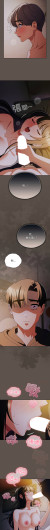 Page 241