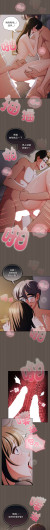 Page 262