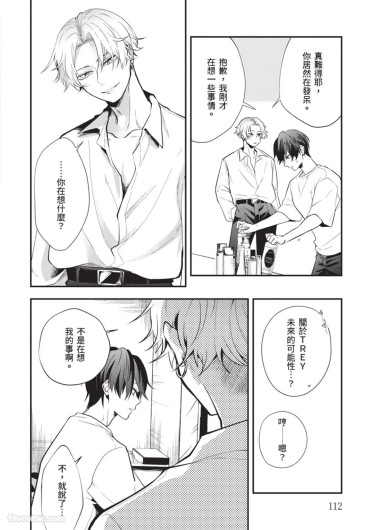 Page 113