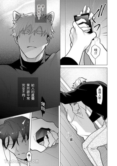 Page 231