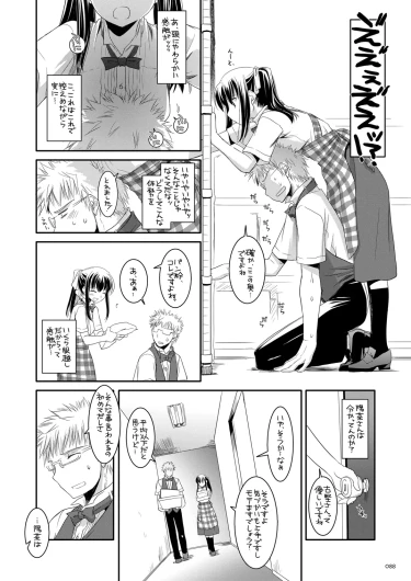 Page 87