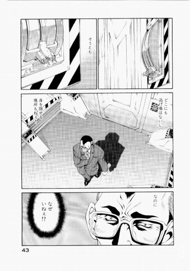 Page 43