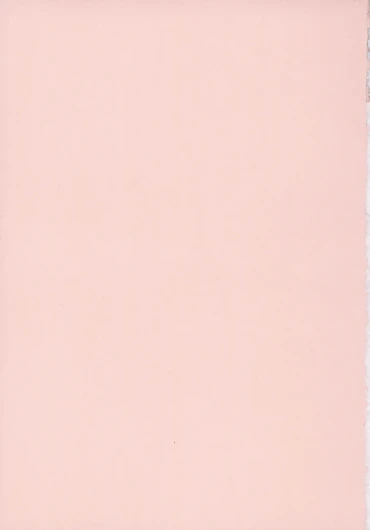 Page 258