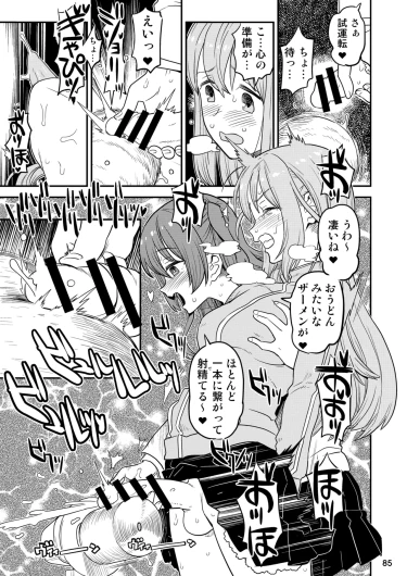 Page 85