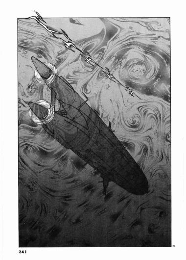 Page 243