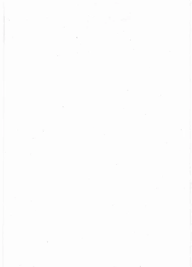 Page 258