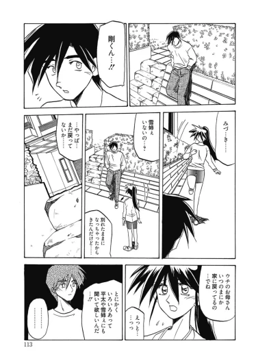 Page 113