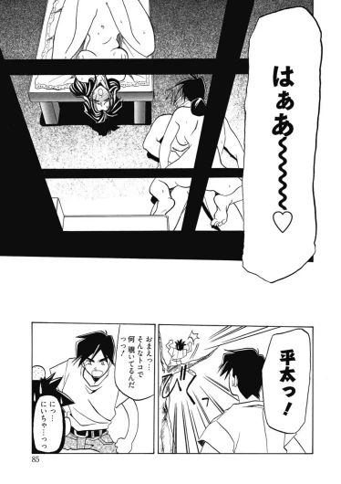 Page 85