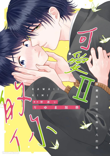 Kawaii Kimi Ⅱ～Bijin na Osananajimi to Heibon na Boku～︱可爱的你 Ⅱ～美丽青梅竹马与平凡的我～