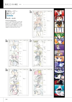 Page 211