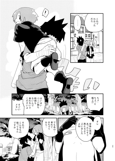 Page 29