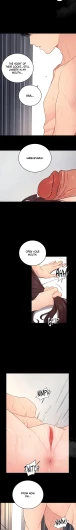 Page 494