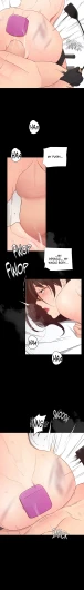 Page 517