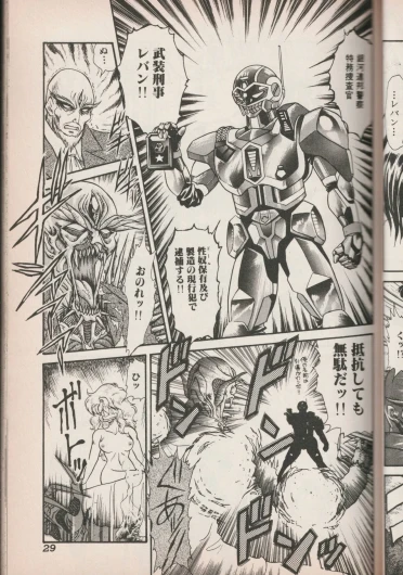 Page 29