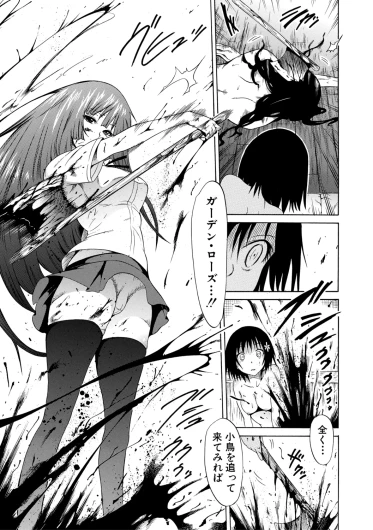 Page 219
