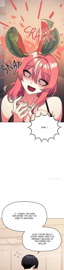 Page 343