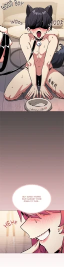 Page 511