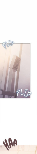 Page 529