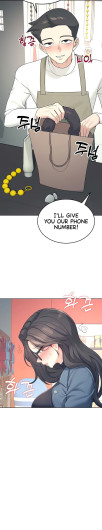 Page 333