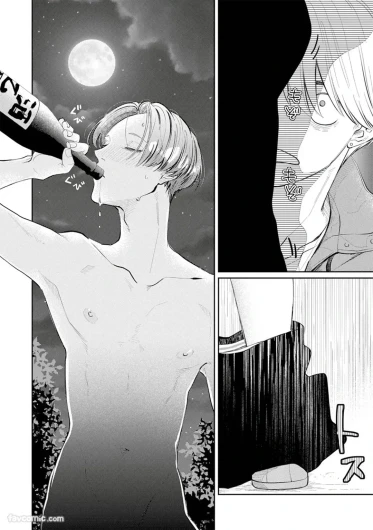Page 341