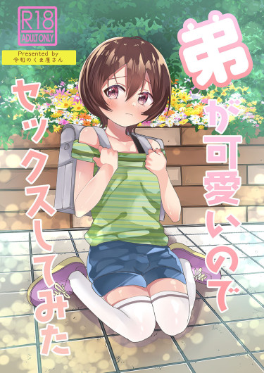 Ototo ga kawaiinode sekkusu shite mita
