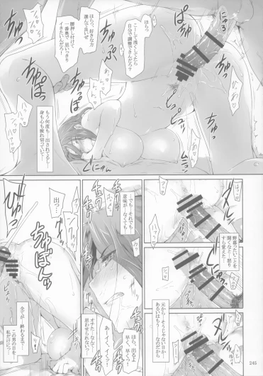 Page 245