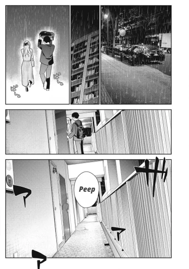 Page 243
